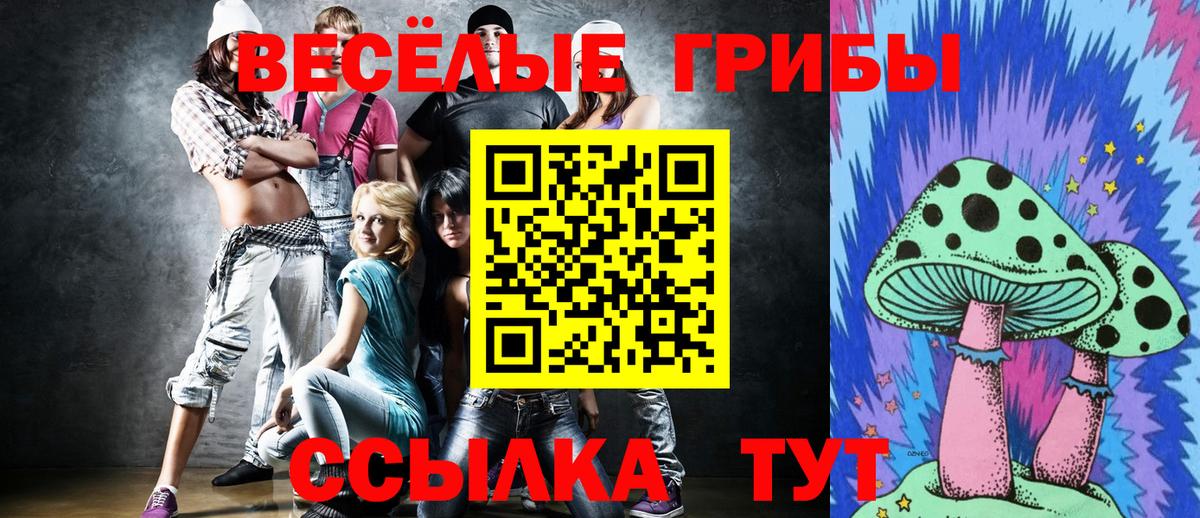 Псилоцибиновые грибы Psilocybine cubensis  Вход с VPN  наркошоп  Губаха 