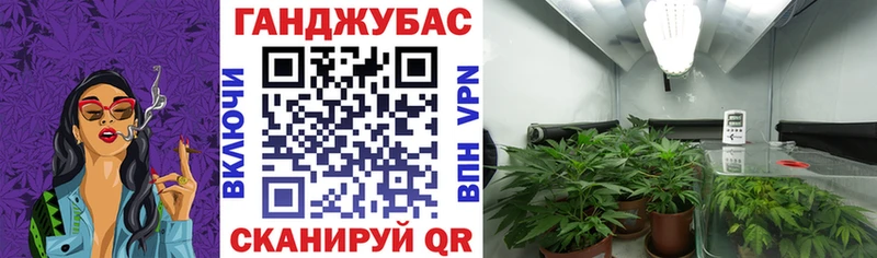 Марихуана MAZAR Губаха